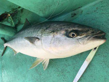 広進丸 釣果