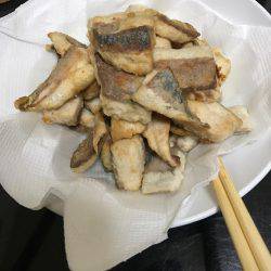 ポーアイ沖釣行