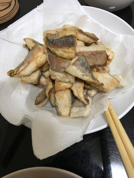 ポーアイ沖釣行