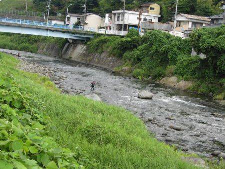 狩野川（狩野川漁業協同組合） 釣果