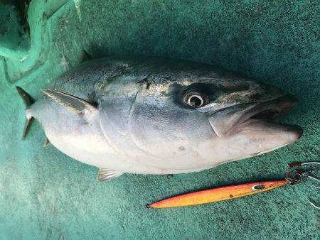 広進丸 釣果