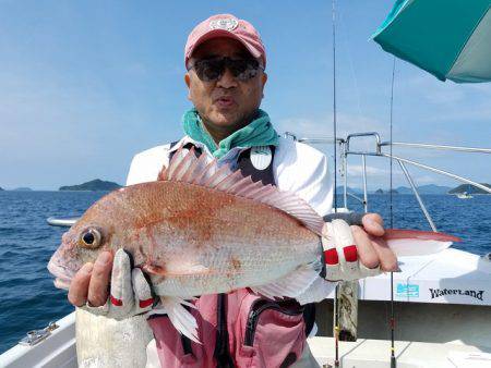 遊漁船　ニライカナイ 釣果