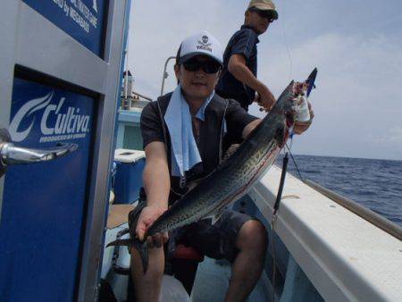 清和丸 釣果