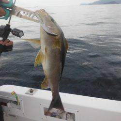 開進丸 釣果