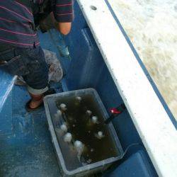 釣り船武蔵 釣果