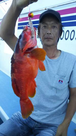 松栄丸 釣果