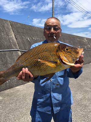 松栄丸 釣果