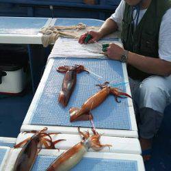 松栄丸 釣果