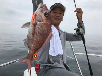 シーマジカル 釣果