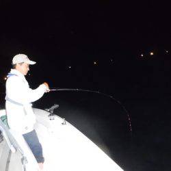 ＢｌｕｅＮｏｔｅ　Ｆｉｓｈｉｎｇ　Ｔａｘｉ 釣果