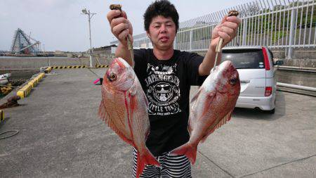 だて丸 釣果