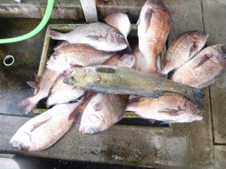 海釣り公園みかた 釣果