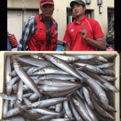 荒川屋 釣果