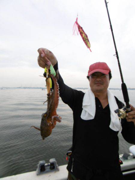 かもめ釣船 釣果