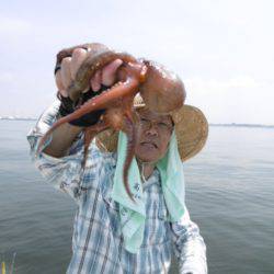 かもめ釣船 釣果