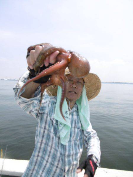 かもめ釣船 釣果