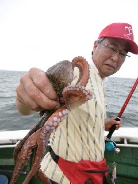 かもめ釣船 釣果