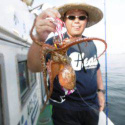 かもめ釣船 釣果