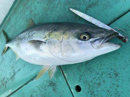 広進丸 釣果