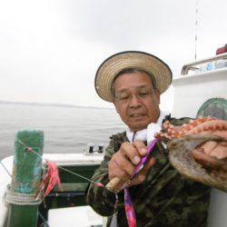 かもめ釣船 釣果