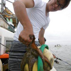 かもめ釣船 釣果