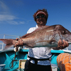 清和丸 釣果