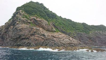 しば渡船 釣果