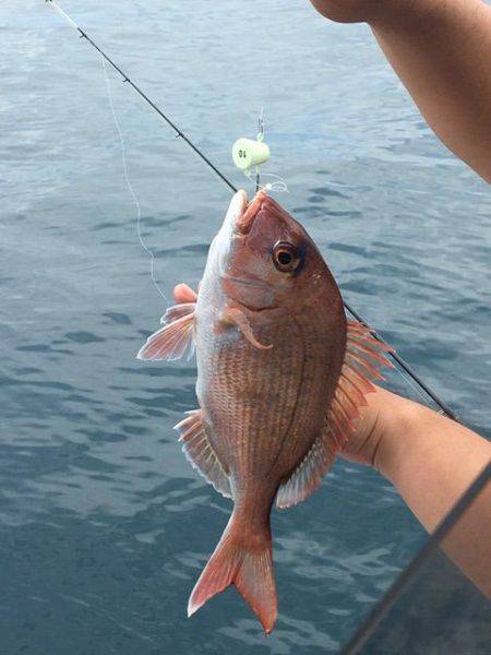 龍宮丸 釣果