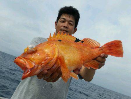 つれ鷹丸 釣果