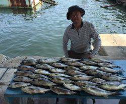 おざき丸 釣果