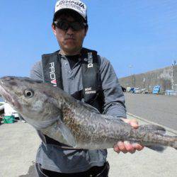 大進丸（新潟） 釣果