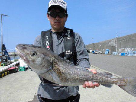 大進丸（新潟） 釣果