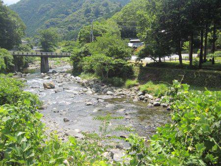 狩野川（狩野川漁業協同組合） 釣果