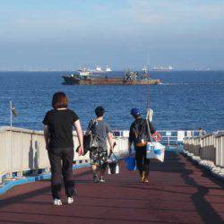 オリジナルメーカー海づり公園(市原市海づり施設) 釣果