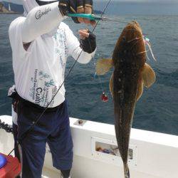 開進丸 釣果