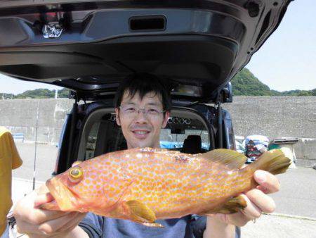 大進丸（新潟） 釣果