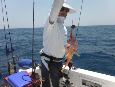 開進丸 釣果