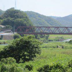 狩野川（狩野川漁業協同組合） 釣果