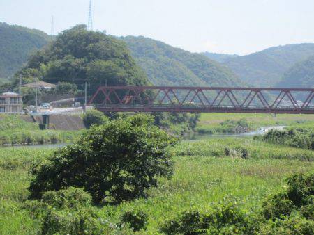 狩野川（狩野川漁業協同組合） 釣果