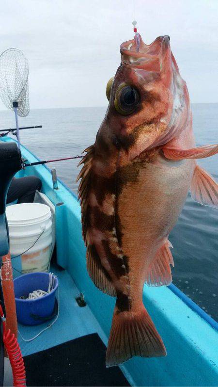 宝昌丸 釣果