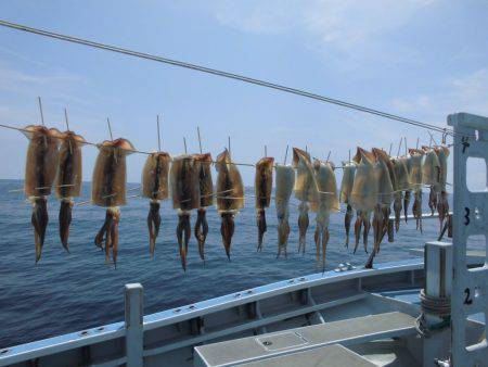 まとばや 釣果