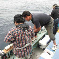 大進丸（愛知） 釣果