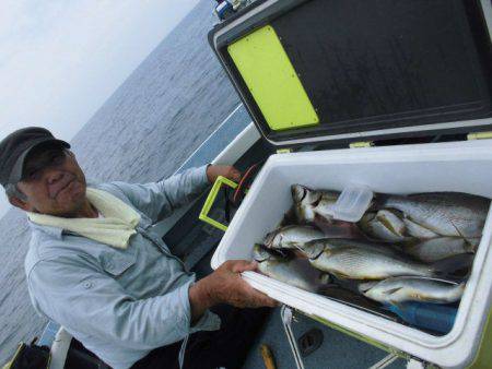 大進丸（愛知） 釣果