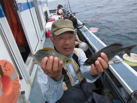 大進丸（愛知） 釣果