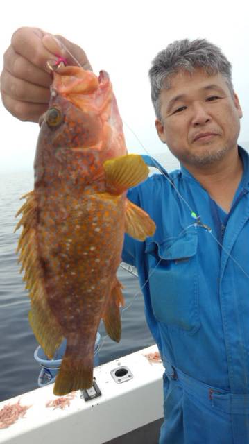 泰丸 釣果