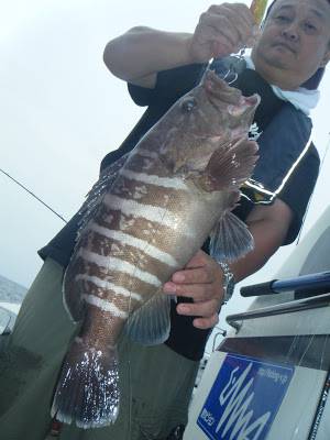 凪紗丸 釣果