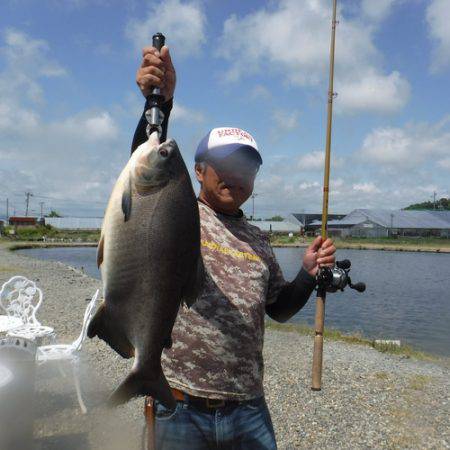 浜名湖フィッシングリゾート 釣果