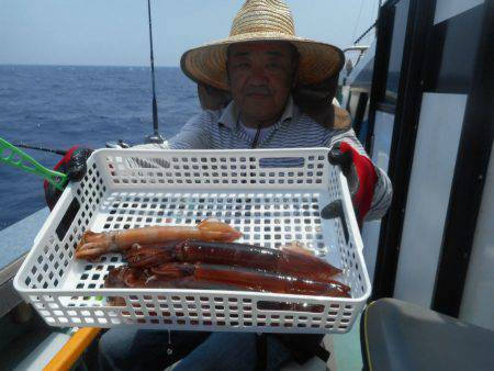 大進丸（愛知） 釣果