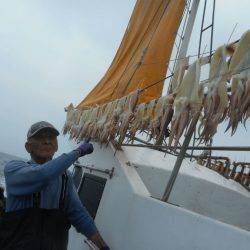 大進丸（愛知） 釣果