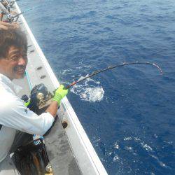 大進丸（愛知） 釣果